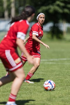 Bild 202 - wBJ HSV Leistungsvergleich